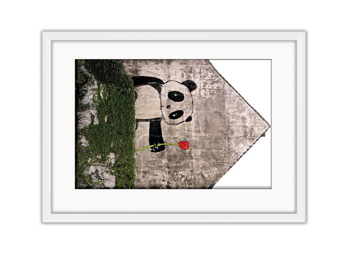 Panda with Rose  Photo Print