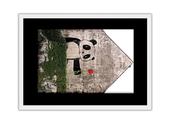 Panda with Rose  Photo Print